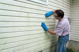 Best Siding Painting and Refinishing  in North Riverside, IL